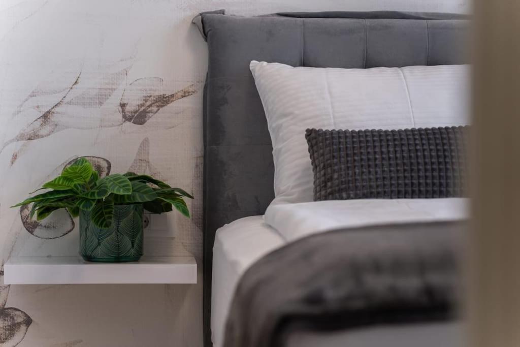 Apartman Capsula Luxury Umag