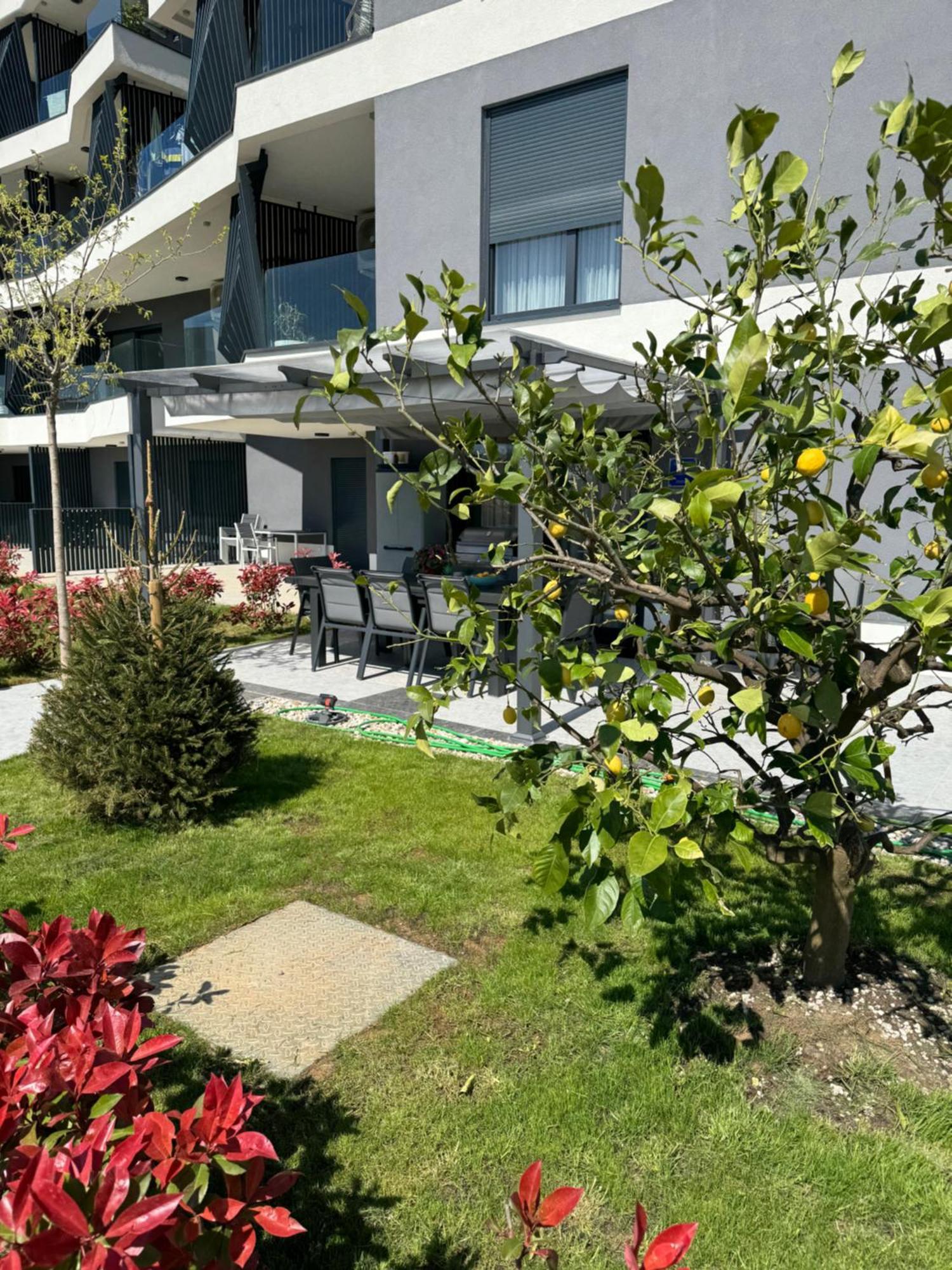 Capsula Luxury Apartman *